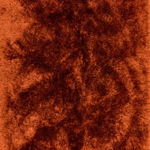 Plush Rust Rug