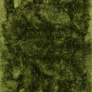 Plush Green Rug