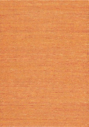 Soyo Orange Rug