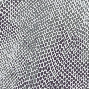 Snakeskin