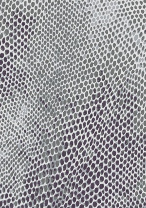 Snakeskin