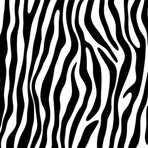 Zebra Alpha