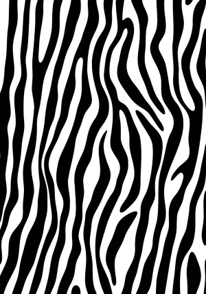 Zebra Alpha
