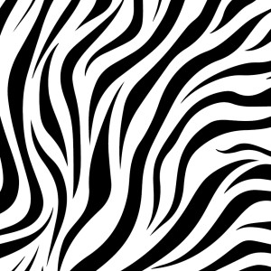 Zebra Beta
