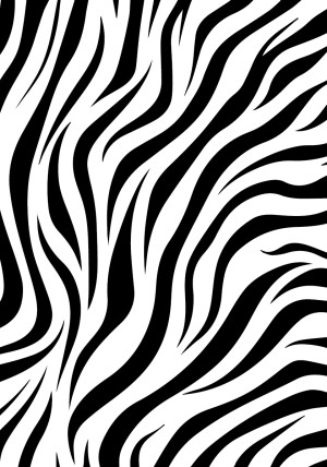 Zebra Beta