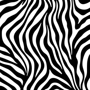 Zebra Delta