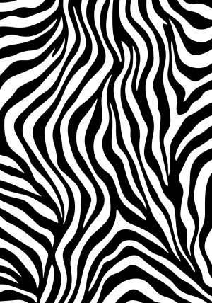 Zebra Delta