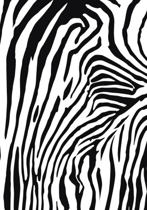 Zebra Epsilon
