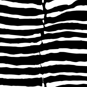 Zebra Kappa