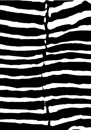 Zebra Kappa