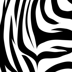 Zebra Lota