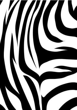Zebra Lota