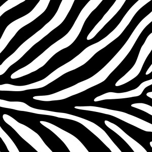Zebra Theta