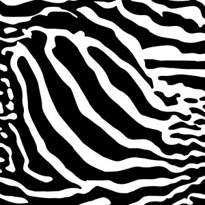 Zebra Zeta