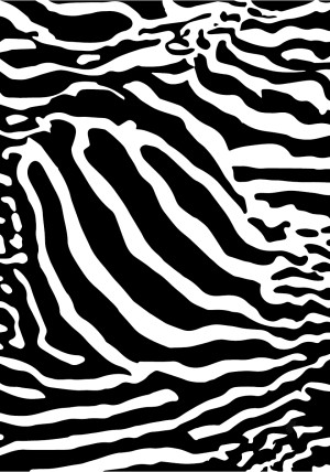 Zebra Zeta