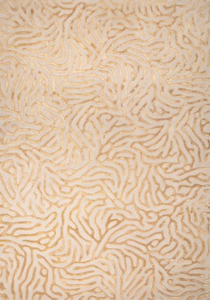 Coral Gold Rug