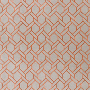Fine Line Orange Rug