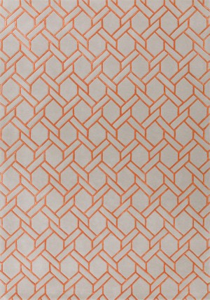 Fine Line Orange Rug
