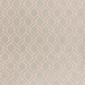 Fine Line Pink Rug
