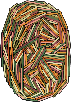 Brindilles Printems Rug