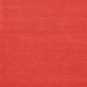 Home Comfort Coral Rug
