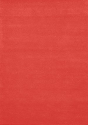 Home Comfort Coral Rug