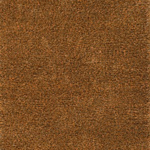 Sprout Burnt Tangerine Rug