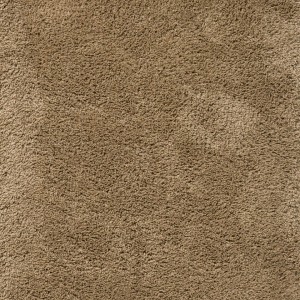 Sprout Dusty Ground Rug