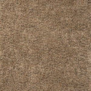 Sprout Feather Coat Rug