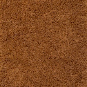 Sprout Terracotta Rug