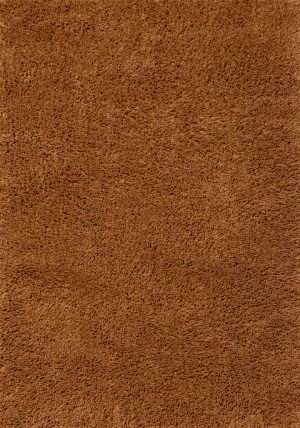 Sprout Terracotta Rug