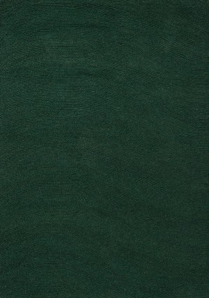 Decor Echo Forest Rug