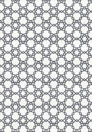 Magera Rug