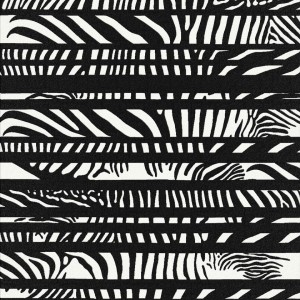 Zebra Lota