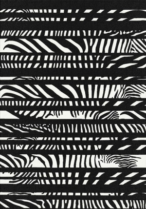 Zebra Lota