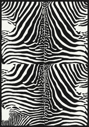 Zebra Kappa