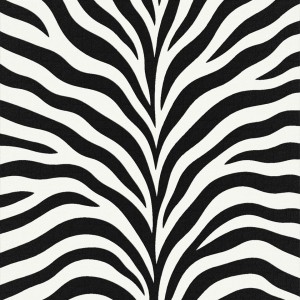 Zebra Omikron