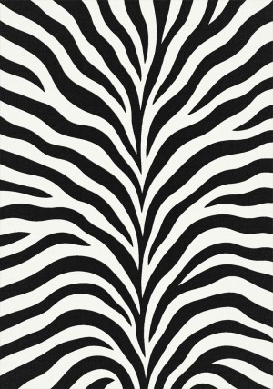 Zebra Omikron