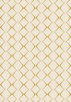 Proxama Rug