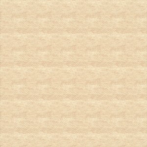 Champelion Rug