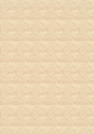 Champelion Rug