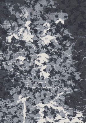 Divina Rug